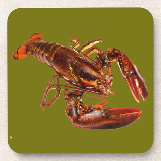 Lobster Coaster (Front)