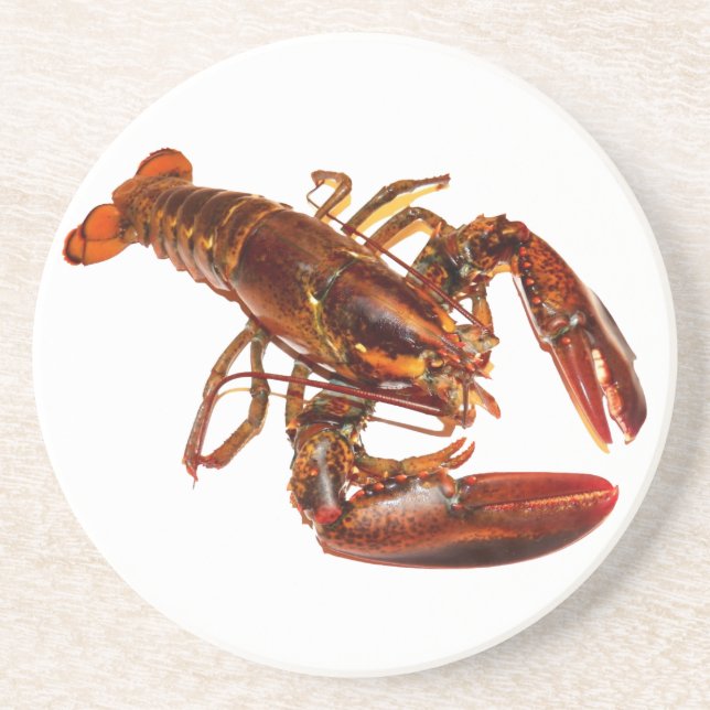 Lobster Coaster (Front)