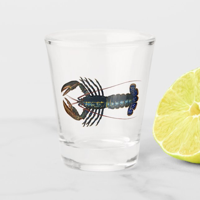Lobster - Homard Commun Shot Glass (Front)