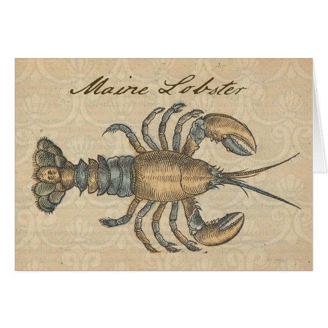 Lobster Illustration Antique Maine Seafood (Front Horizontal)