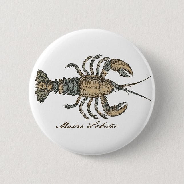 Lobster Illustration Antique Maine Seafood 2 Inch Round Button (Front)