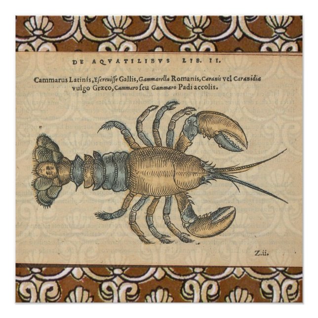 Lobster Illustration Antique Maine Seafood Poster (Front)