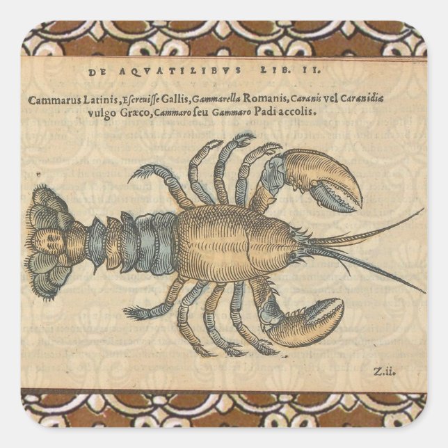 Lobster Illustration Antique Maine Seafood Square Sticker (Front)