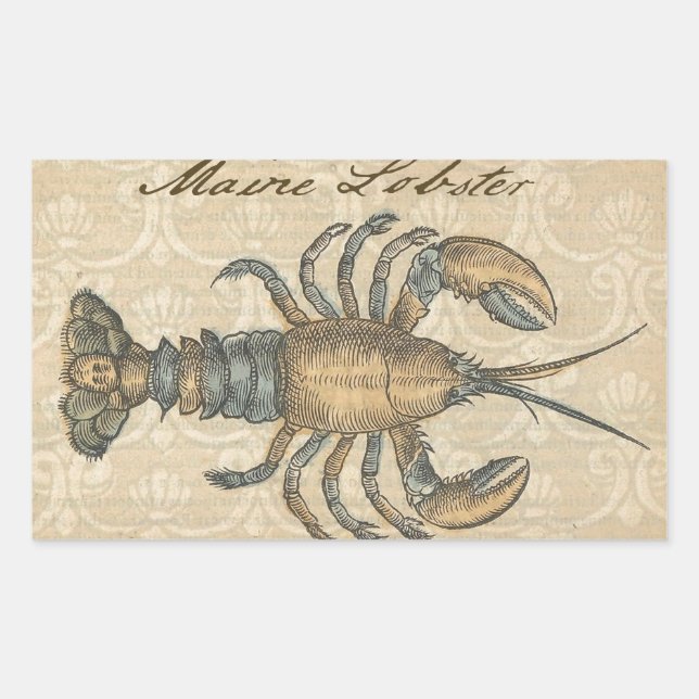 Lobster Illustration Antique Maine Seafood Sticker (Front)