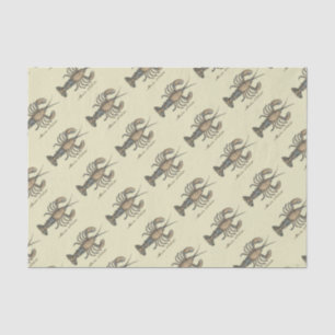 Lobster Illustration Antique Maine Seafood Tissue Paper