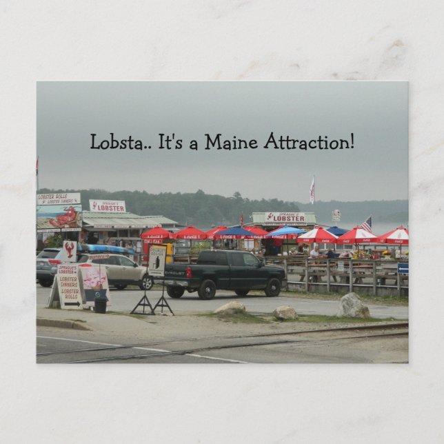 Lobster Lobsta Maine attraction wiscasset signs PC Postcard (Front)