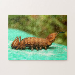 Lobster Moth Caterpillar Photo Puzzle and Gift Box