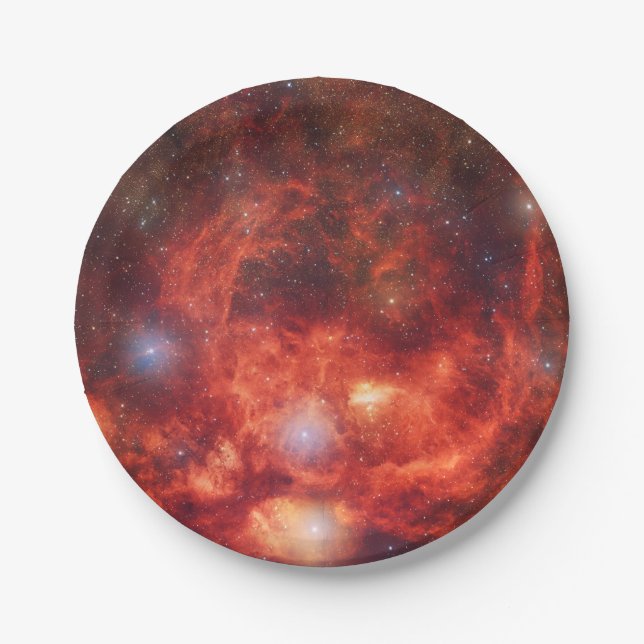 Lobster Nebula Paper Plate (Front)