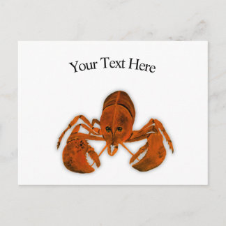 Lobster Postcard