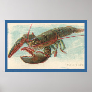 Lobster Poster