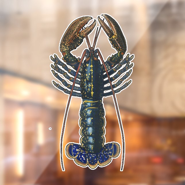 Lobster Shellfish Seafood Maine Classic Ocean Window Cling (Sheet 2)