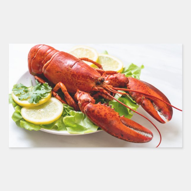 Lobster Sticker (Front)