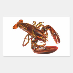 Lobster Sticker