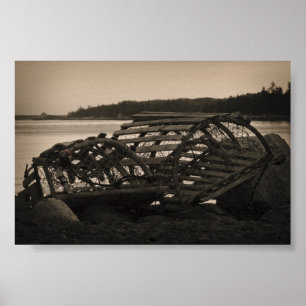 Lobster Traps Sepia Poster