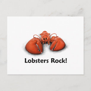 Lobsters Rock! Postcard
