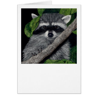 "Local Bandit" Raccoon Card