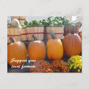 Local Farmers Postcard