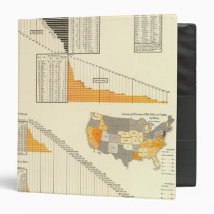 local state debt binder