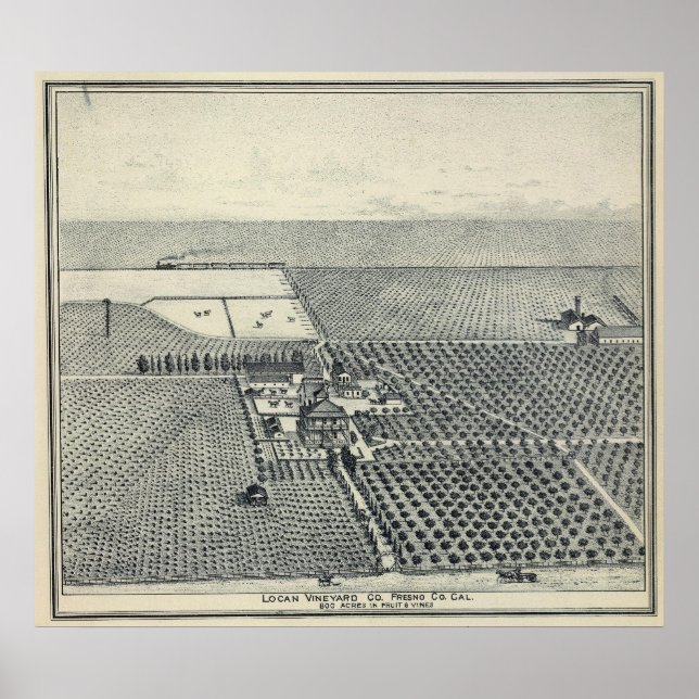 Locan Vineyard, Fresno Poster (Front)