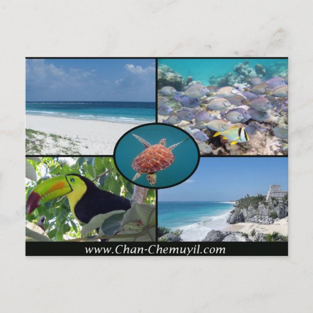 Location de vacances à Tulum - Carte postale Chan  (Devant)