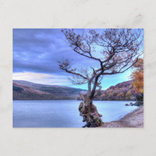 Loch Lomond, Scotland Postcard