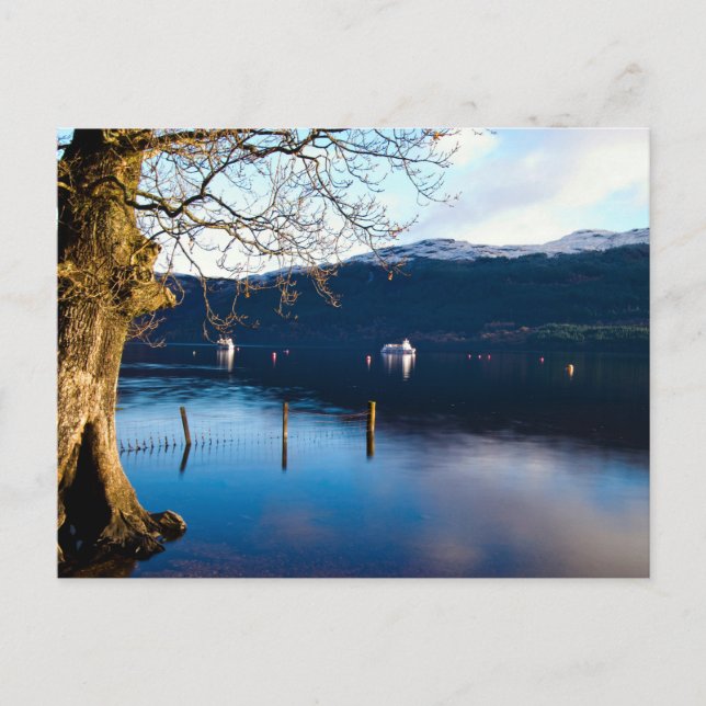 Loch Lomond, Tarbet, Scotland Postcard (Front)