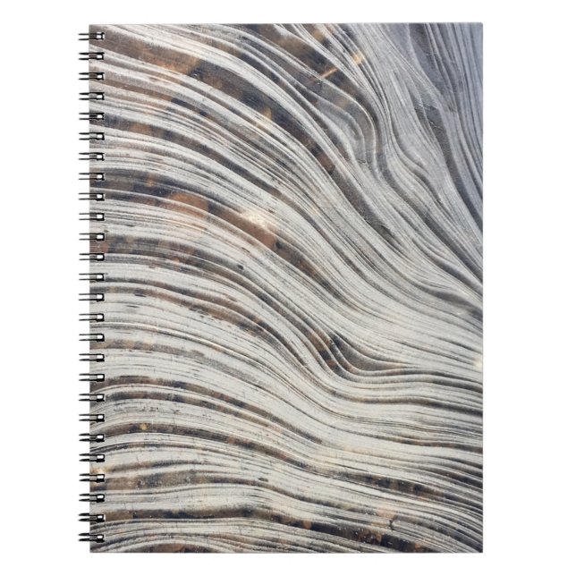 Loch Ness Ice Notebook (Front)