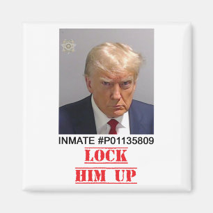 Lock Him Up Magnet
