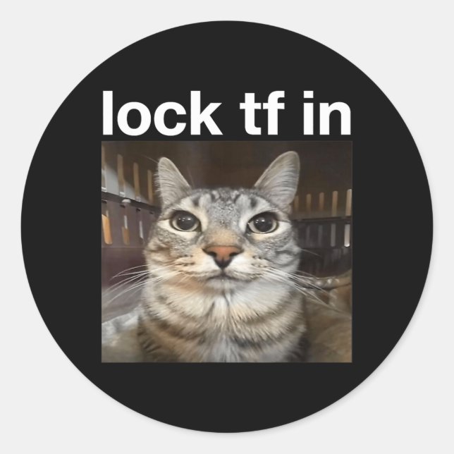 Lock TF in Cat Meme Classic Round Sticker (Front)