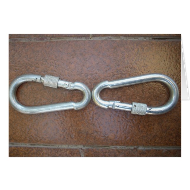 Locked In: Durable Steel Carabiner Lock Design (Front Horizontal)