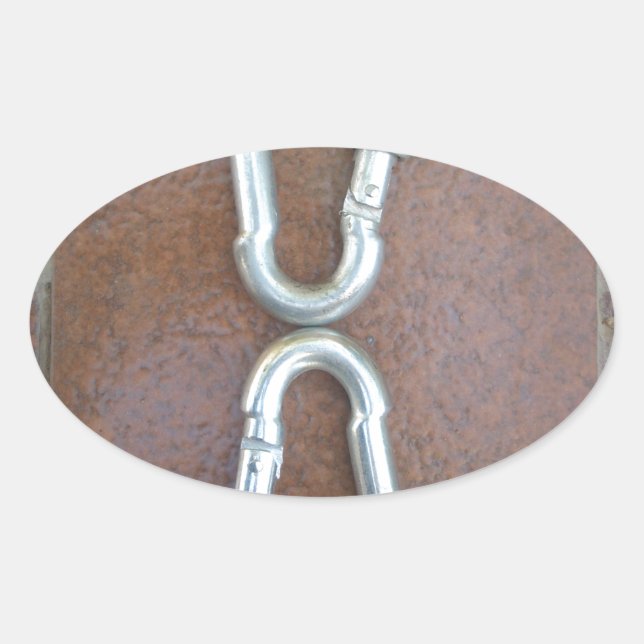 Locked In: Durable Steel Carabiner Lock Design Oval Sticker (Front)