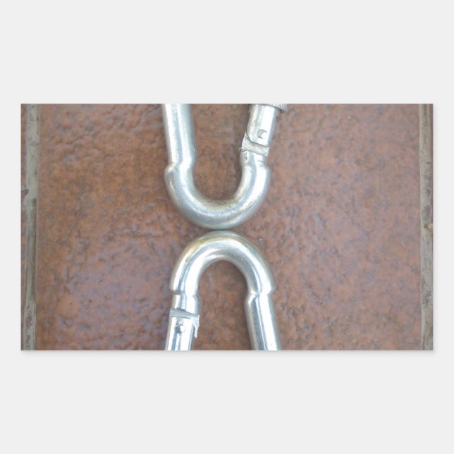 Locked In: Durable Steel Carabiner Lock Design Sticker (Front)