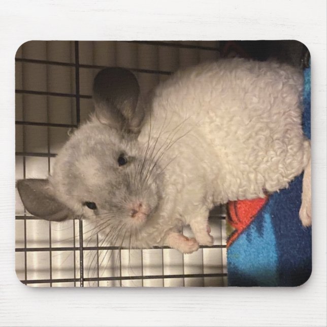 Locken "Curly" Chinchilla Mousepad (Front)