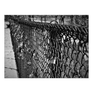 "Locks of Love" Photo Print