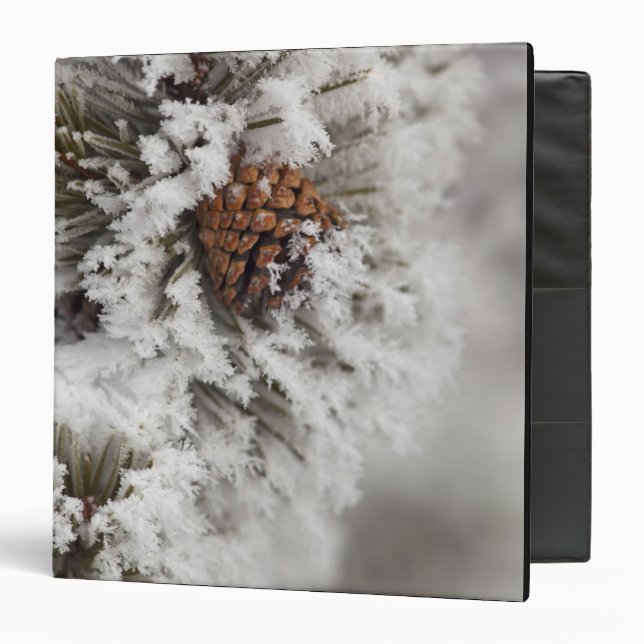 Lodgepole Pine cone in winter in Yellowstone Binder (Front/Inside)