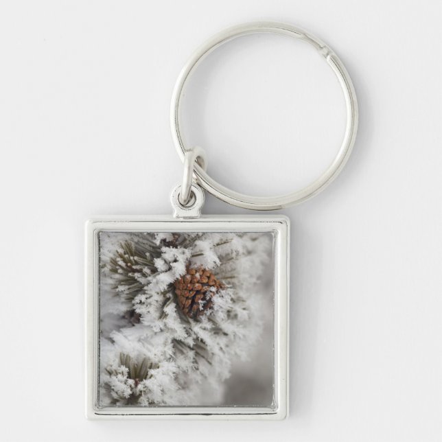 Lodgepole Pine cone in winter in Yellowstone Keychain (Front)