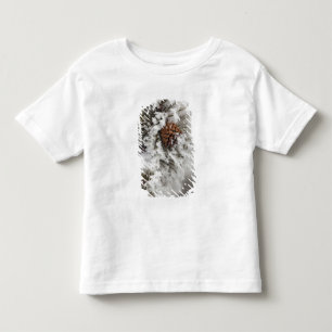 Lodgepole Pine cone in winter in Yellowstone Toddler T-shirt