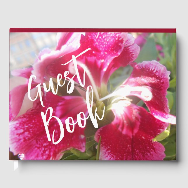 Lodovica Guest Book (Front)