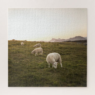 Lofoten Sheep Nature Photo Jigsaw Puzzle