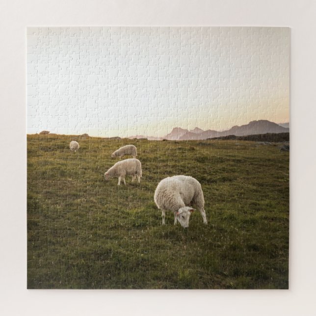 Lofoten Sheep Nature Photo Jigsaw Puzzle (Vertical)