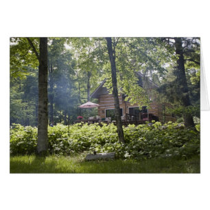 Log Cabin in Woods