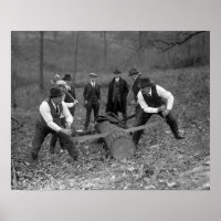 Log Sawing Contest, 1924. Vintage Photo
