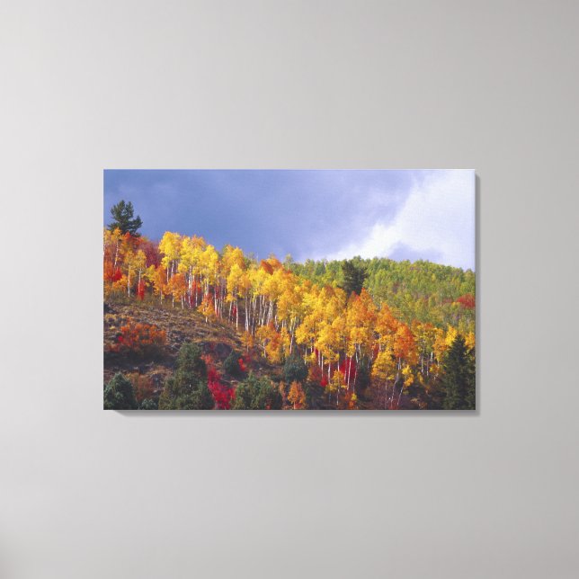 Logan Canyon in Utah in autumn with passing Canvas Print (Front)