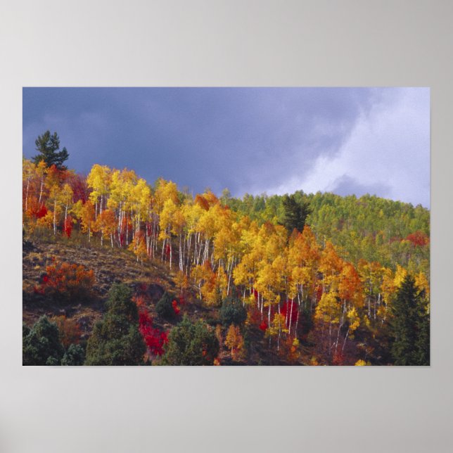 Logan Canyon in Utah in autumn with passing Poster (Front)