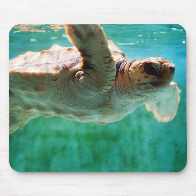Loggerhead #1 Mousepad (Front)
