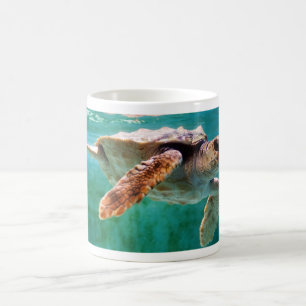 Loggerhead #2 Mug
