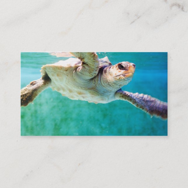 Loggerhead #3 Mini Print Business Card (Front)
