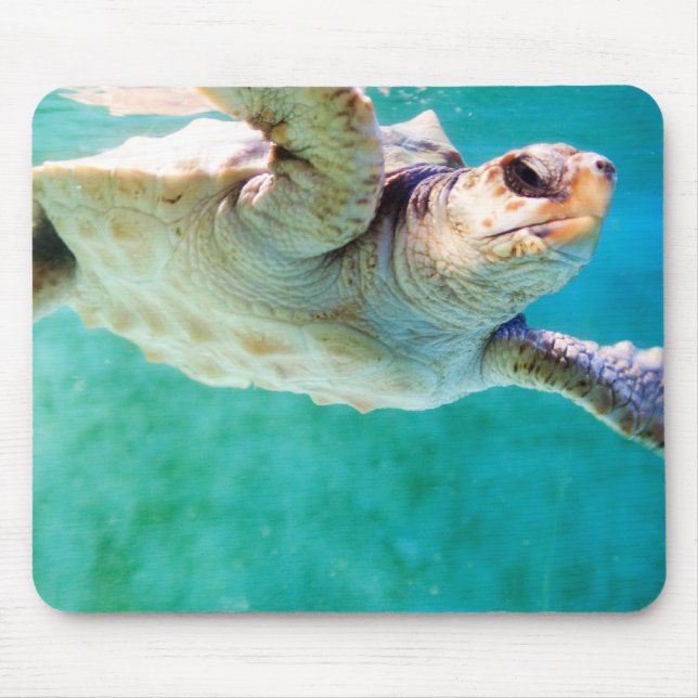Loggerhead #3 Mousepad (Front)