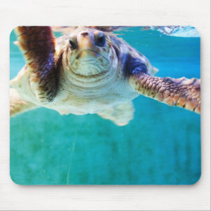 Loggerhead #4 Mousepad