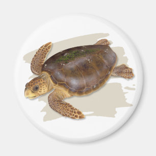 Loggerhead Sea Turtle Magnet